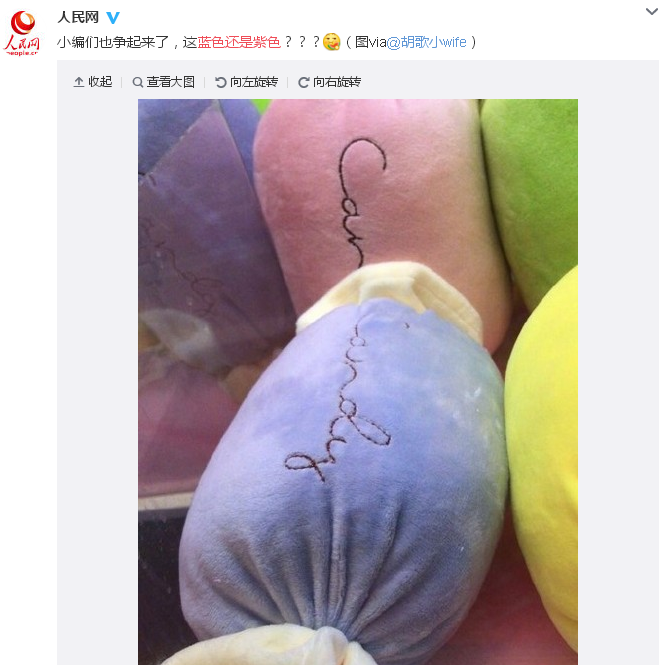 都在争蓝色还是紫色,贝树墙衣蓝色紫色都给你,通通都给你